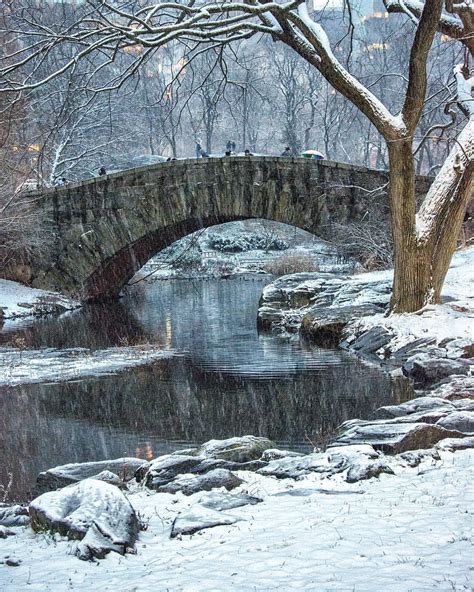 Gapstow Bridge In Central Park In The Snow Paesaggi Luoghi Bei Posti