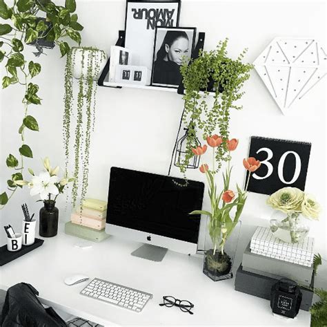 Office Plants And Plant Decorating Ideas To Improve Your Mood At Work