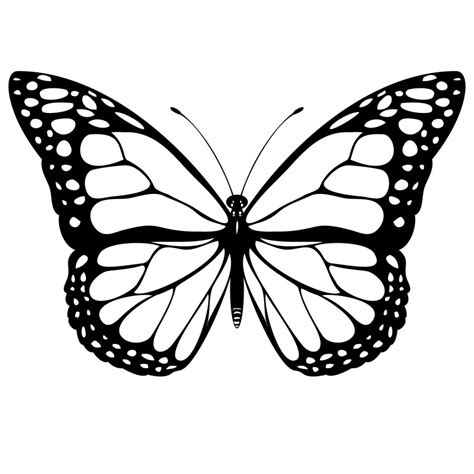 Simple Butterfly Drawing At Getdrawings Free Download