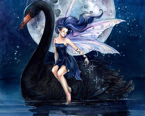 Black Swan And The Little Fairy Hd Wallpaper Mermaid Fairy Fairy Art