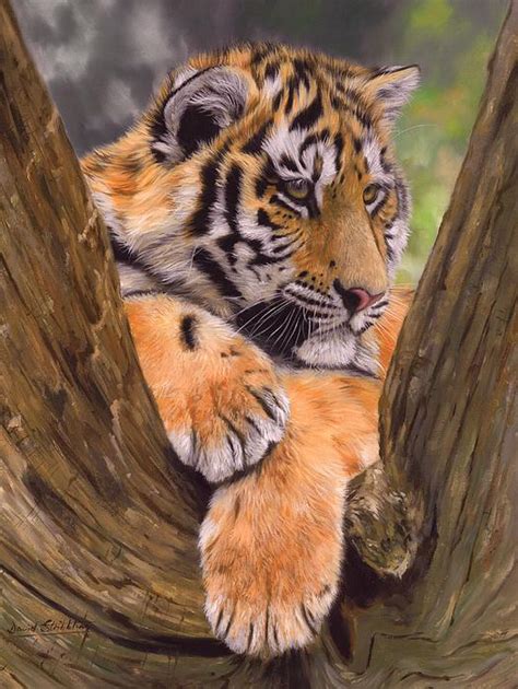 Tiger Cub Painting Tapestry For Sale By David Stribbling