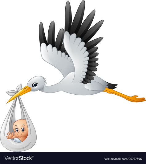 Cartoon Stork Carrying Baby Royalty Free Vector Image
