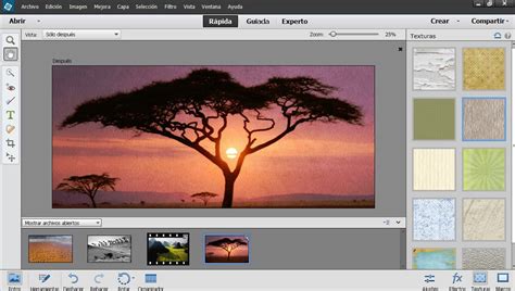 Download Photoshop 2019 Bagas31 Caqwenature