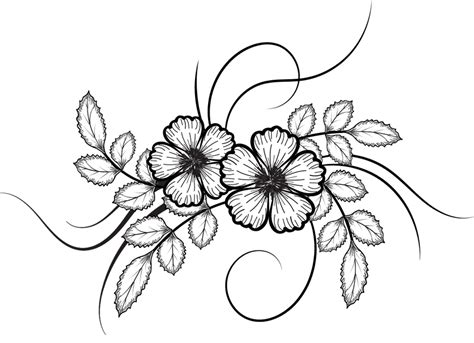Flowers Drawing Illustrations Png File Flower Drawing Flower Line