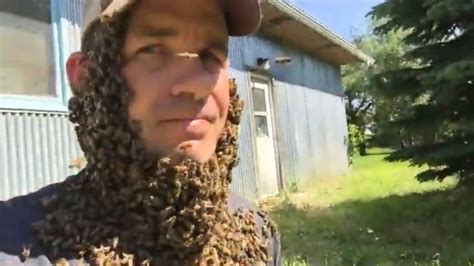 Growing A Cool Bee Beard Youtube