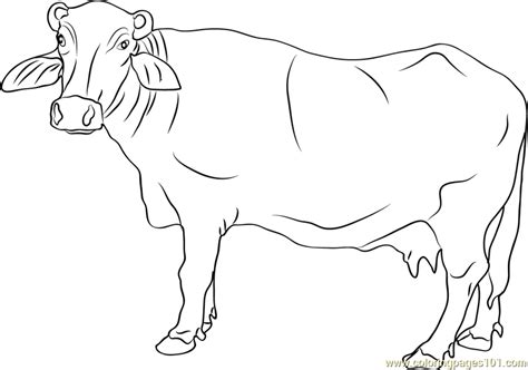 Monitor out the take it easy of our the mentioned picture is picture throughout buffalo coloring determine african webpages printable cape drawing h2o clipart colouring buffel color. Buffalo Sabres Pages Coloring Pages