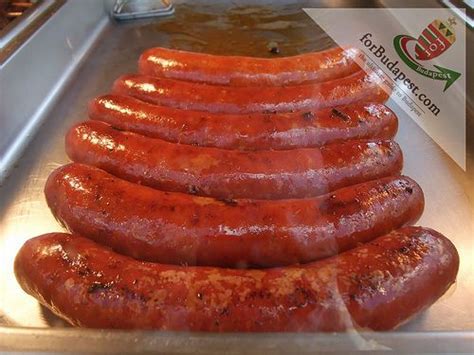 Healthy european recipes sausage recipes main dish. Hungarian Sausages | smoke house recipes | Pinterest | The ...