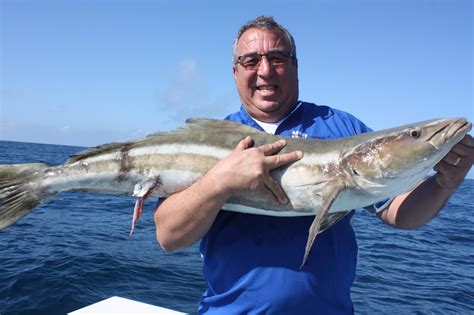 They live around 3 years (although with good husbandry they can live many more) and can only be kept by themselves. Show Me The Fish Charters