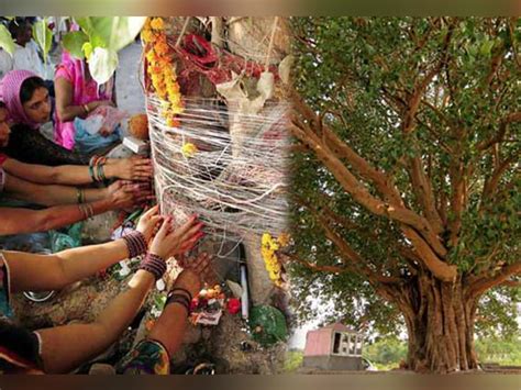 10 Plants And Trees That Has Spiritual Significance In India