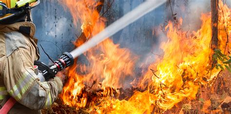 3 cap 8 con el terror dentro / rtx: Dos incendios forestales destruyeron 950 hectáreas en ...