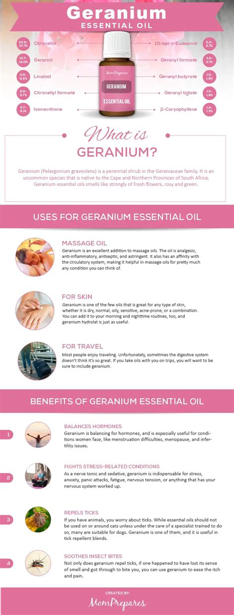 Geranium Essential Oil The Complete Uses And Benefits Guide Mom