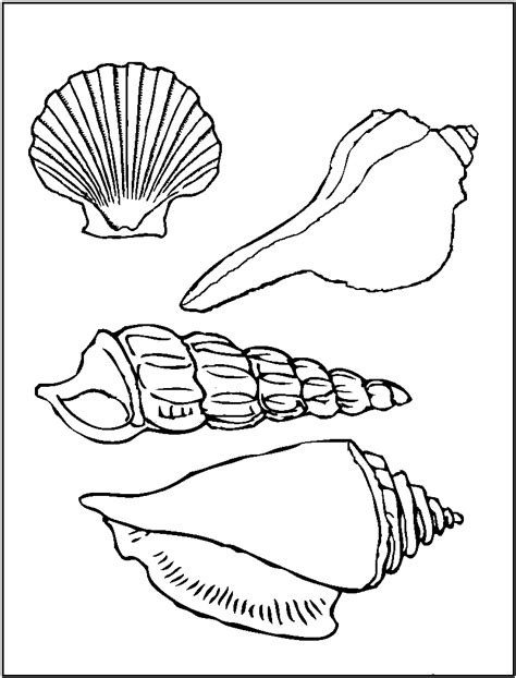 Free Printable Seashell Coloring Pages For Kids | Animal coloring pages