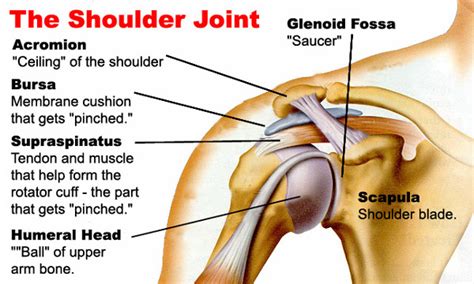Shoulder impingement is a painful problem that occurs due to the overuse of this joint. UKC Articles - Climbing Shoulder Injuries - Exercises and Tips