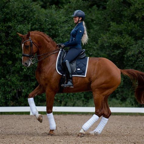 It is a discipline where each competition is composed of a jumping, dressage and cross country test to determine the final score, demanding considerable experience in different equestrian disciplines. Equestrian Stockholm underlag Midnight Blue White Edge