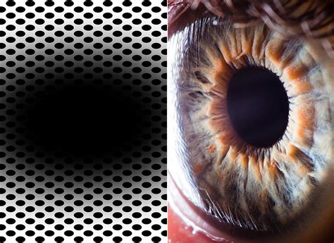 Expanding Hole Optical Illusion Will Boggle Your Mind Tricks Pupillary
