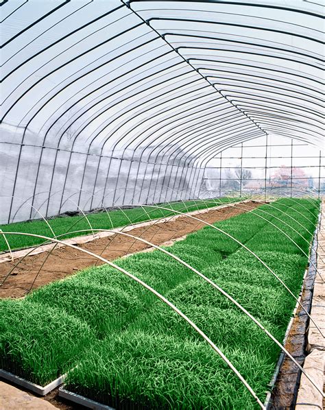 PSIとSAPジャパン、地域の農産業活性化支援のため、デジタル・サプライチェーン・プラットフォームの提供を開始 - SAP Japan プレスルーム