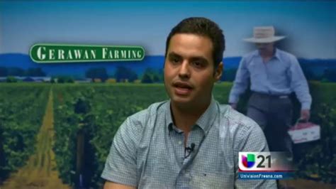 Responde La Compania Gerawan Farms Video Univision 21 Fresno KFTV