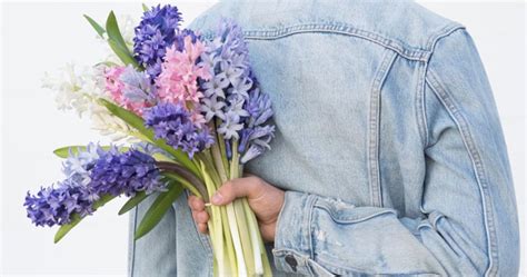 You've said or done the wrong thing! Popular Apology Flowers That Say "I Messed Up" | Bouqs Blog