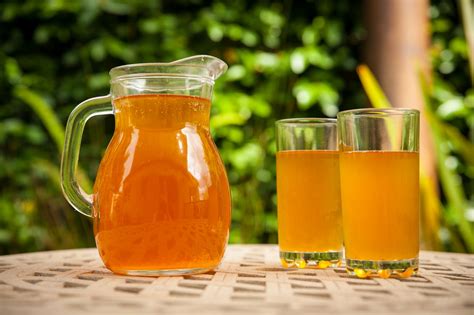 To craft kombucha, a base of sweetened tea is cultured with a scoby (symbiotic culture of bacteria and yeast). Can You Get Drunk Off Kombucha? | sundaysoupblog