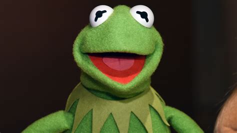 We Did Not Have The Time To Reimagine Kermit The Frog