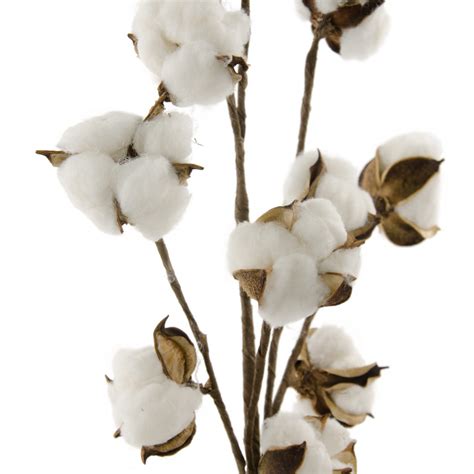 Cotton Boll Floral Spray: 20