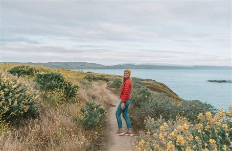 30 Best Bay Area Hikes Near San Francisco From A Local