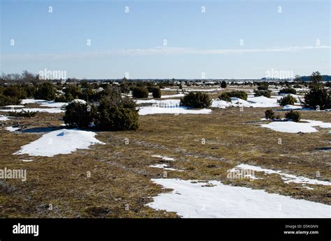 Oland Great Alvar Plain Sweden Hi Res Stock Photography And Images Alamy