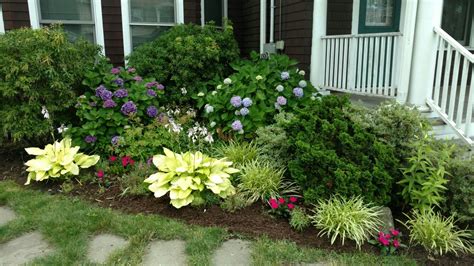 Shade Garden Andromeda Hydrangeas Liriope Hostas I Love How These