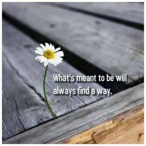 Whats Meant To Be Will Always Find A Way Wise Words Quotes