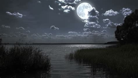 Full Moon Night Landscape With Stock Footage Video 100