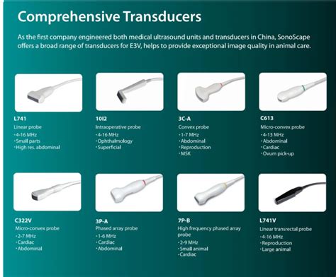 Ec Grafo Doppler Color Veterinario Sonoscape E Vet Con Transductores