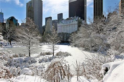 Winter In The City Free Stock Photo Public Domain Pictures
