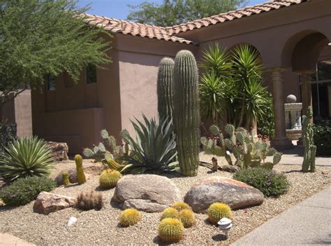 Colorful Arizona Xeriscaping Landscaping Design Desert
