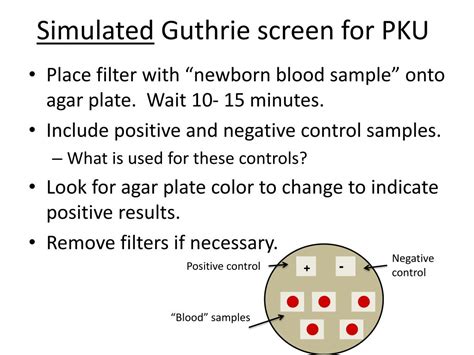 Ppt Phenylketonuria Pku Screening Powerpoint Presentation Free