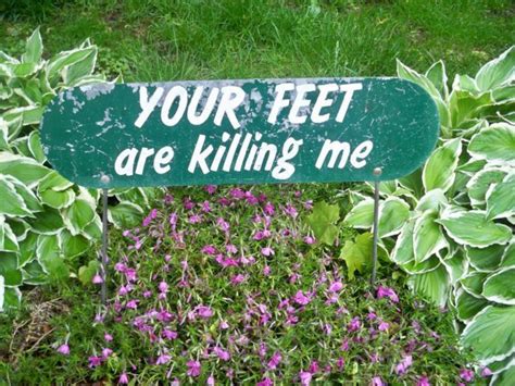 15 Funny Plant Signs One Piece 2023