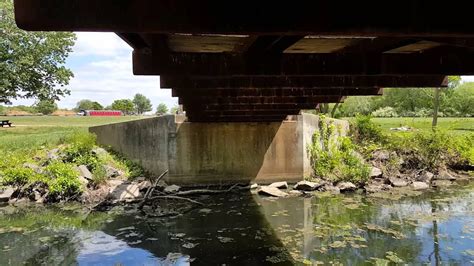 Barn Swallow Colony Under Mercer Park Bridge Youtube