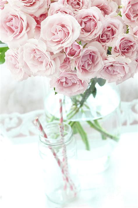 Shabby Chic Cottage Pastel Pink Roses In Clear Vase Romantic Pink