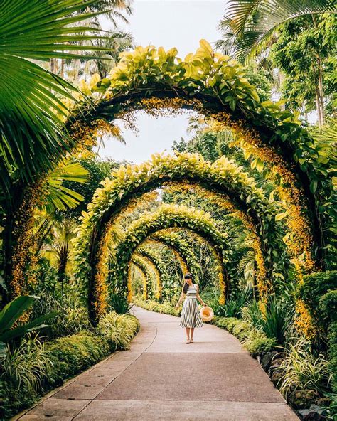 Top 2019 Botanical Garden Discount Only On Singapore
