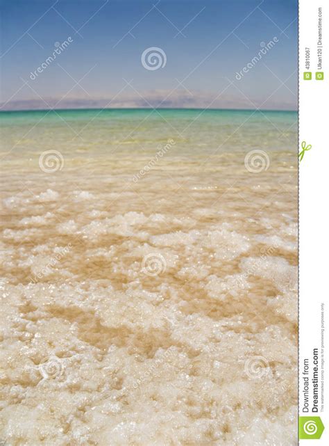 Dead Sea Salt Natural Mineral Formation At The Dead Sea Stock Image