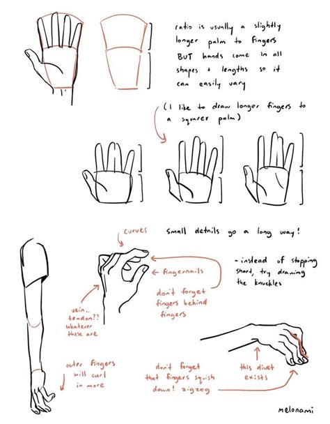 Pin By Madison Cobb On How To Draw Anatomy Tutorial How To Draw