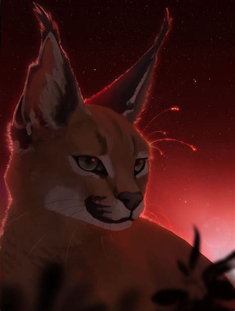 Caracal By Arcovet On Deviantart