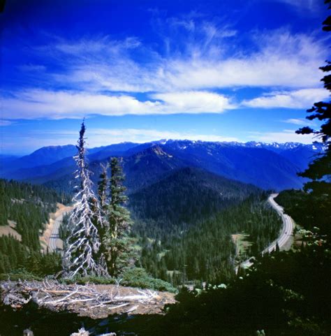 Visiting hurricane ridge in olympic national park, hiking, cross country and telemark skiing, snowshoeing, auto touring, what to see and do. Animatronyx: Hurricane Ridge, Washington