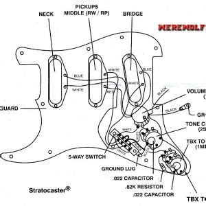 Fender stratocaster | complete plans. Fender Stratocaster Wiring Diagram | Free Wiring Diagram
