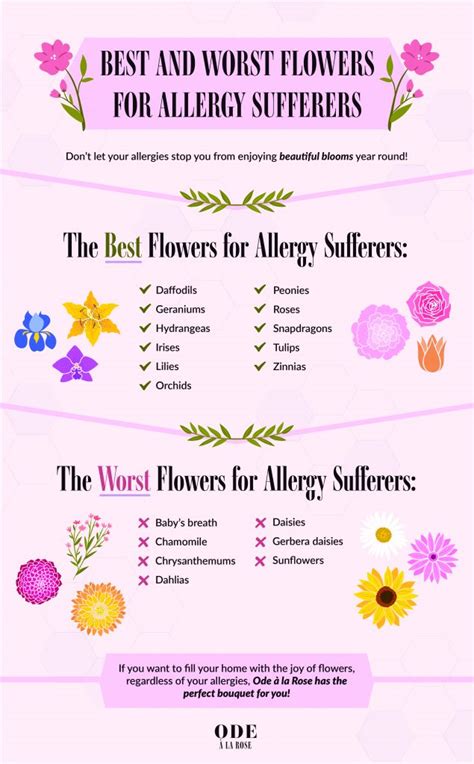 Best Worst Flowers For People With Allergies Updated