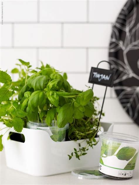 Inspiration Från Ikea Herbs Ikea Plants Herb Garden