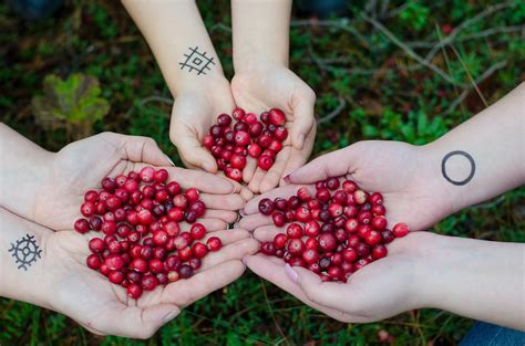 How much cranberry for uti. Does Cranberry Juice Help UTI - Doctor's Advice (Updated ...