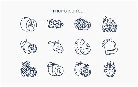Premium Vector Fruits Vector Icon