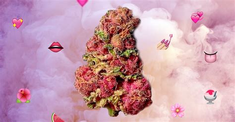This Is Why Weed Is Pink Jane Street