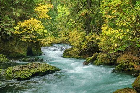 Upper Mckenzie River In Autumn Photograph By Greg Vaughn Fine Art America