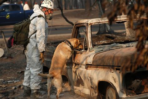 Camp Fire 81 Dead Hundreds Missing More Evacuations Lifted Chico